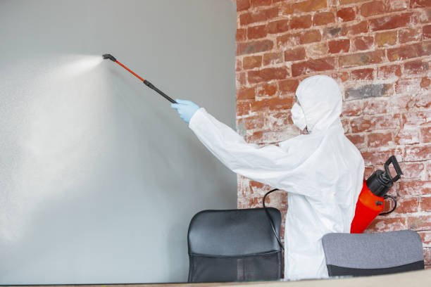 Best Forensic Mold Investigation  in Locust Fork, AL