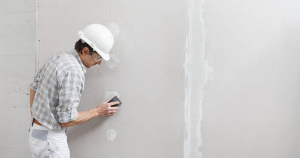 Best Environmental Consulting for Mold Prevention  in Locust Fork, AL