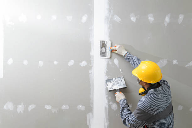 Best Dehumidification Services  in Locust Fork, AL