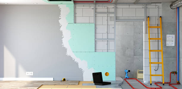 Trusted Locust Fork, AL Mold Removal Experts